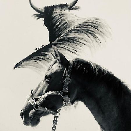 Gites Equestres Lou Caloun - Les Saintes Maries De La Mer Exterior foto