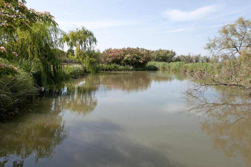 Gites Equestres Lou Caloun - Les Saintes Maries De La Mer Cameră foto