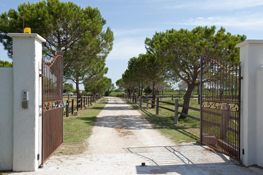 Gites Equestres Lou Caloun - Les Saintes Maries De La Mer Cameră foto